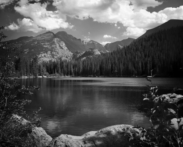 Белый пейзаж