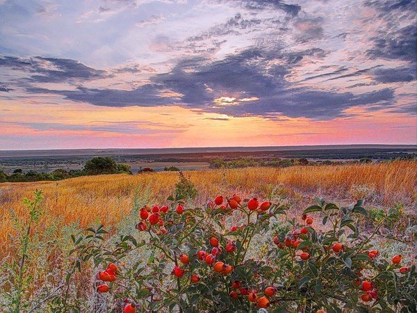 Красота Донского края