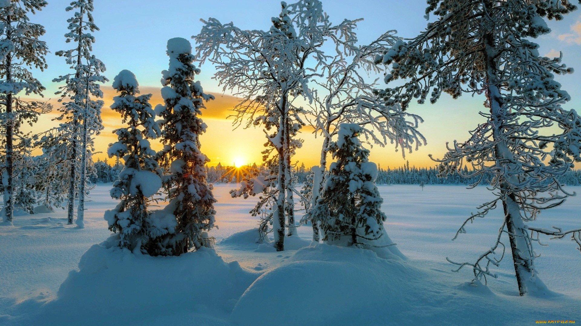 красивая зимняя природа в республике карелия, россия