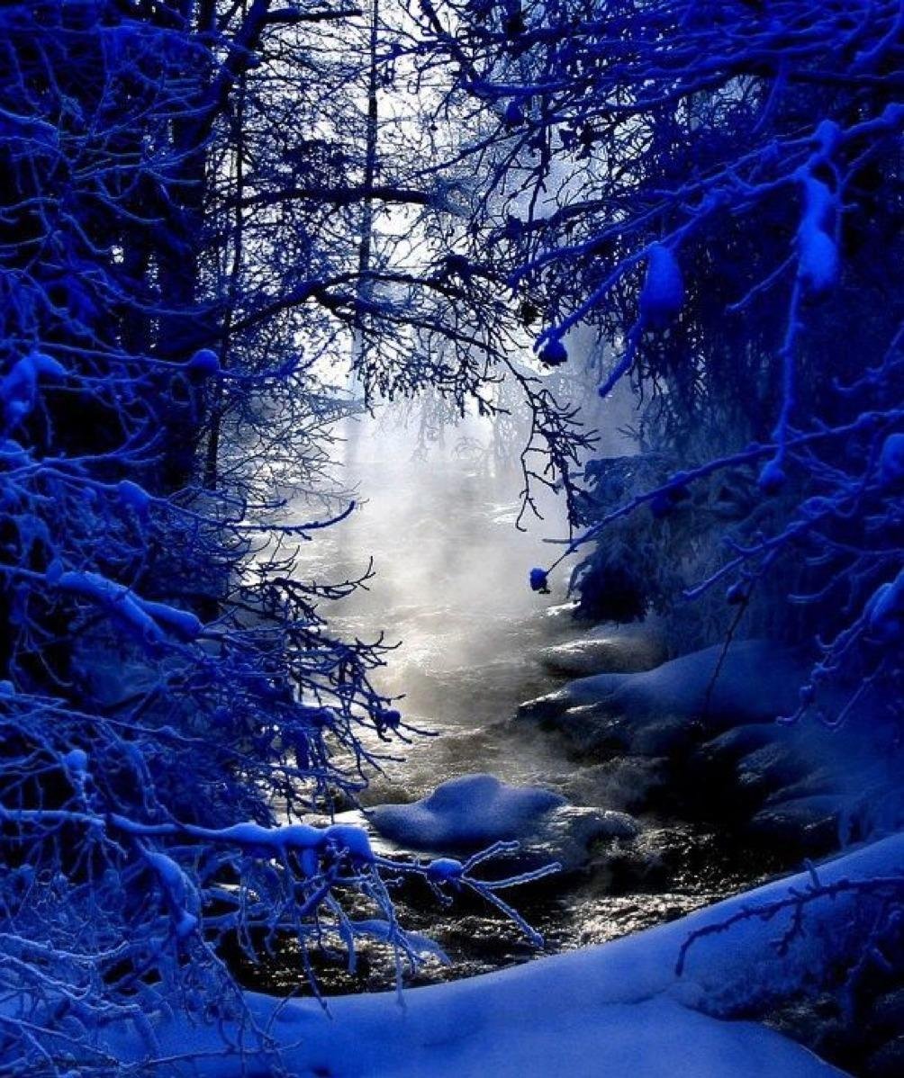 Сказочный зимний лес