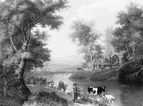 Ян Виллем Пинеман