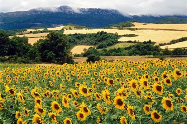 Владимир Маковский. Украинский пейзаж с Хатами.