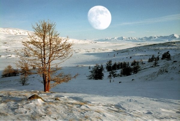 Природа Алтайского края зима