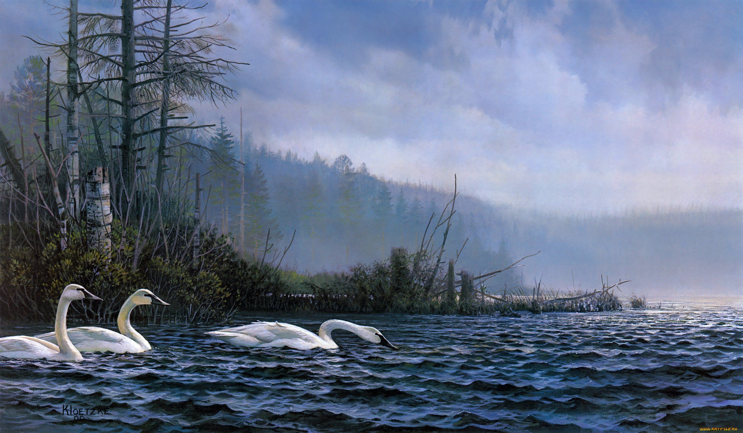 Живопись лебеди на озере