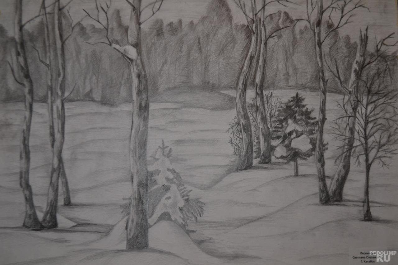 Пейзаж карандашом лес