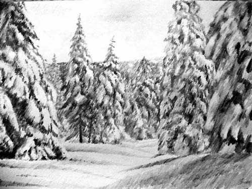 Зимний лес карандашом