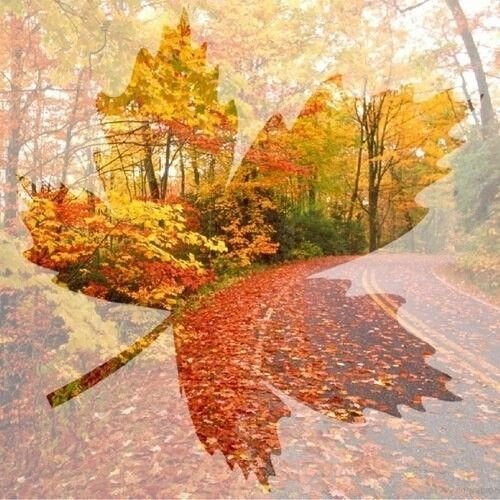 Осенний ветер