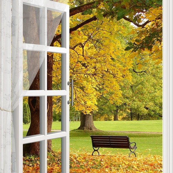 Окно с осенним пейзажем