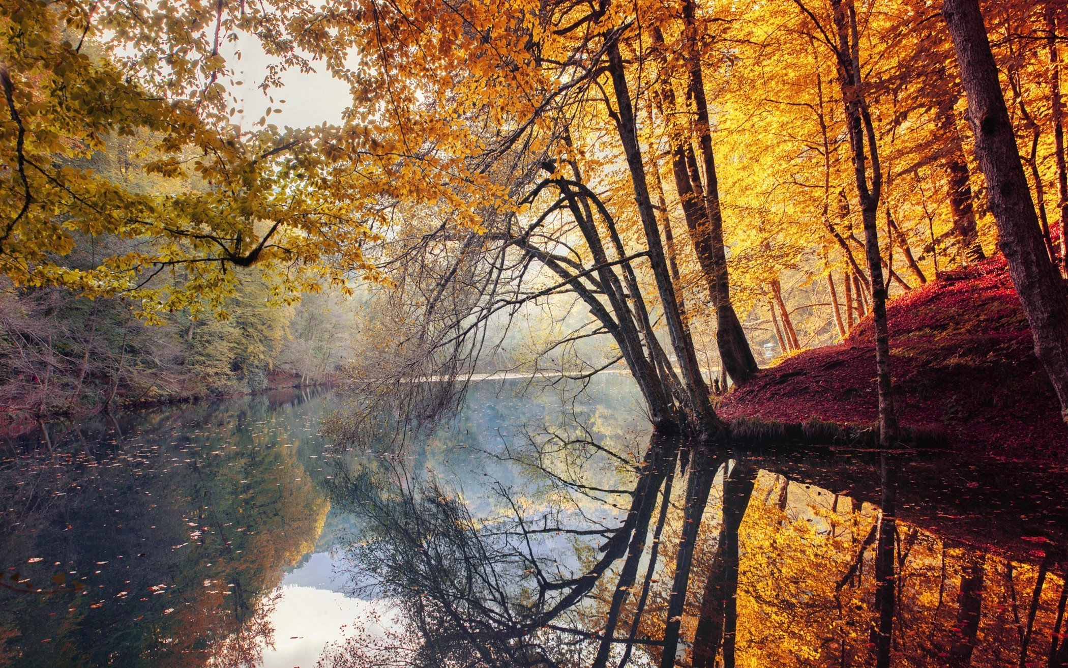 Осень отражение в воде