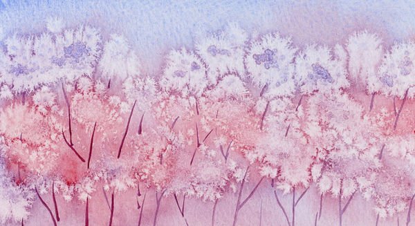 Пейзаж солью (50 фото)