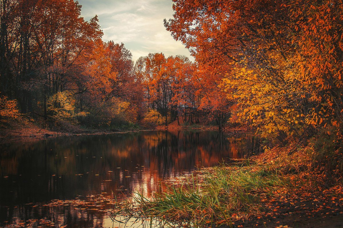 Осень пруд