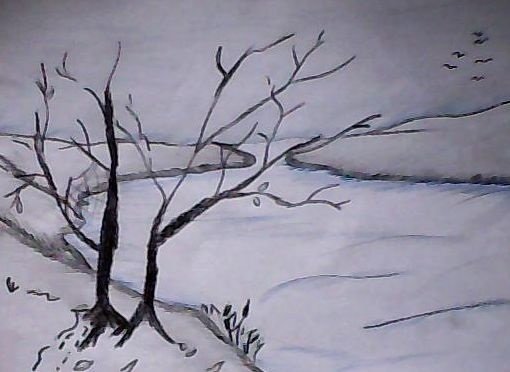 Рисунок поздней осени карандашом для начинающих