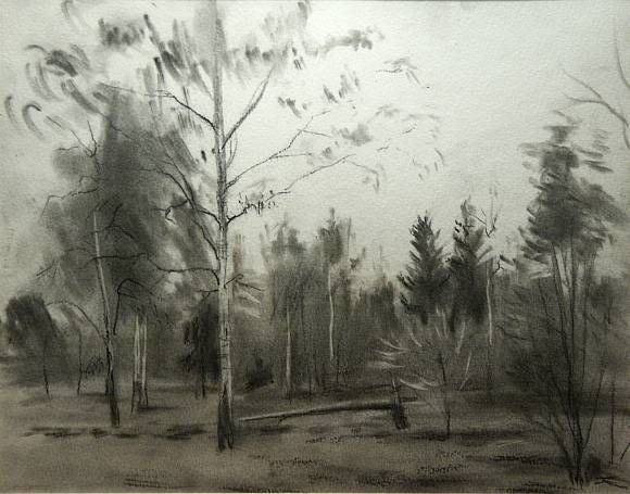 Графический пейзаж углем