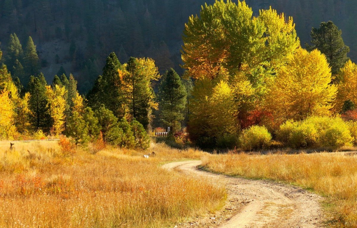 Пейзаж фото осень