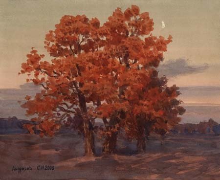 Художник акварелист Андрияка