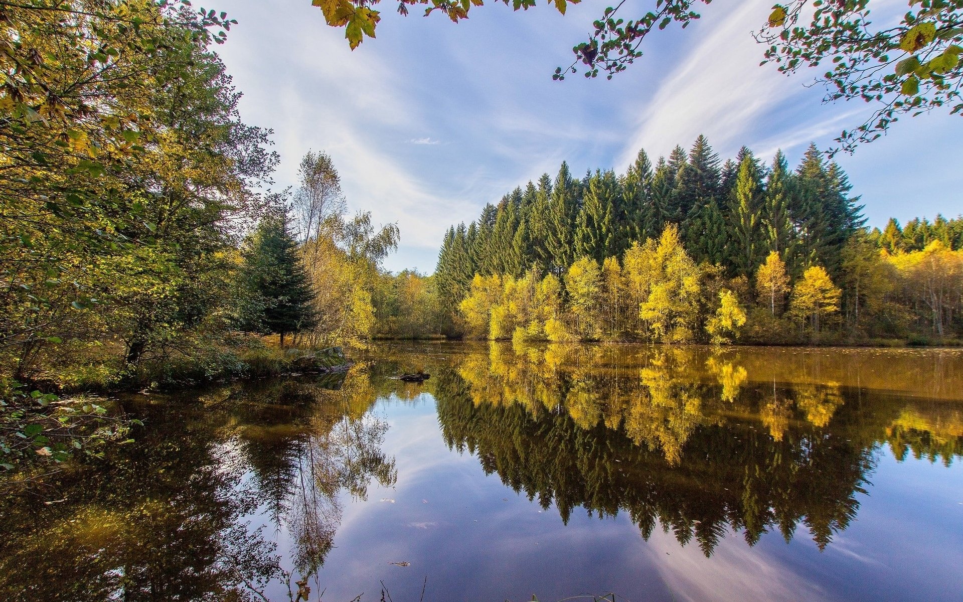Осень природа река озеро лес
