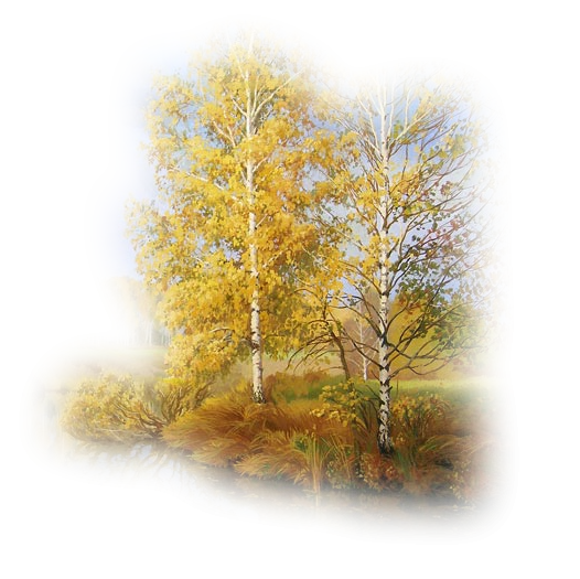 Лес на прозрачном фоне