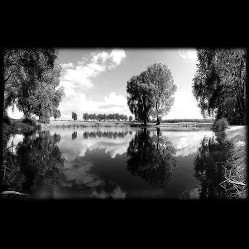 Пейзажи для гравировки на памятниках