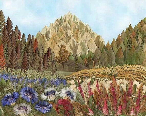 Ошибана горы