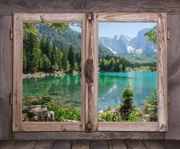 Окно в природу