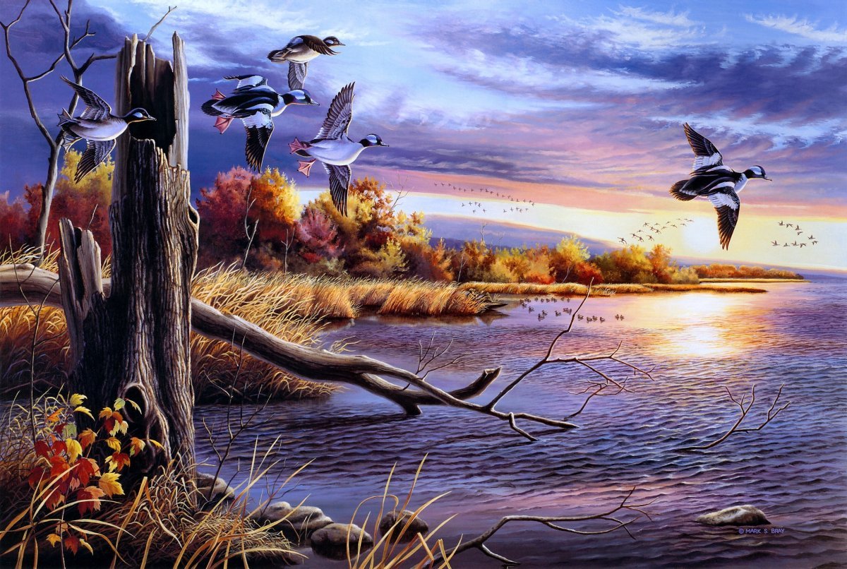 Утки над озером живопись
