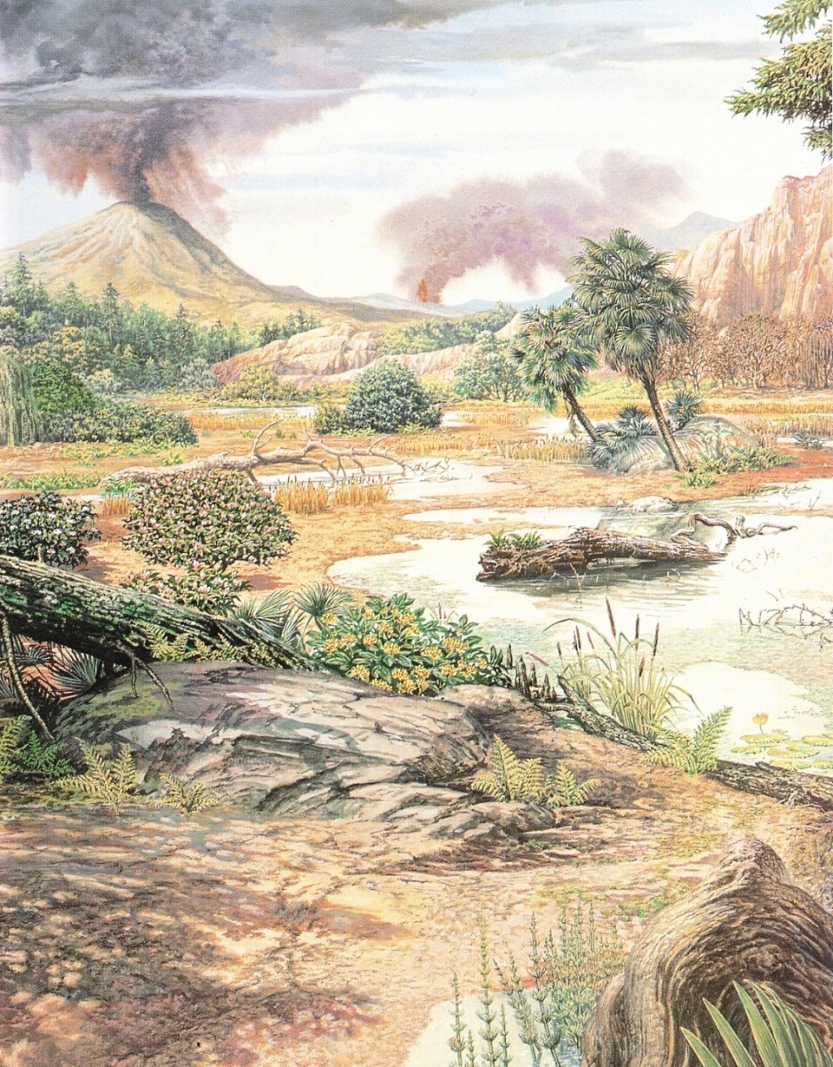 Триасовый период мезозойской эры Флора