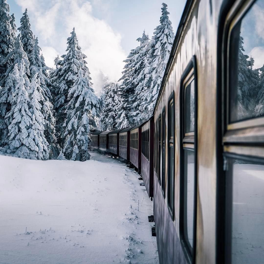 Зимний лес из окна поезда
