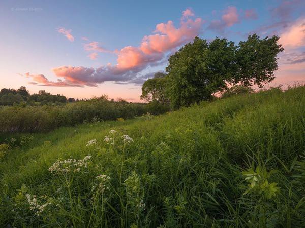 Природа полдень