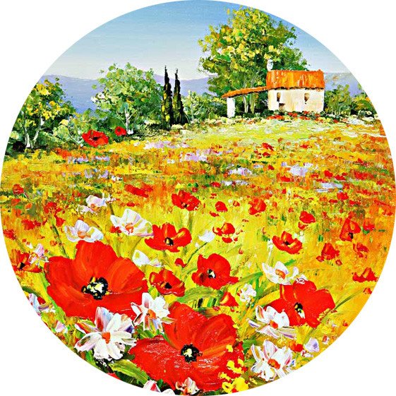 Круглый пейзаж с прозрачным фоном