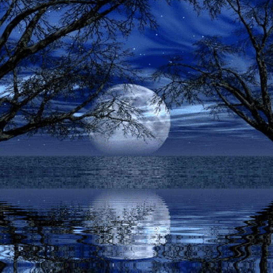 Анимации Лунная ночь пейзаж