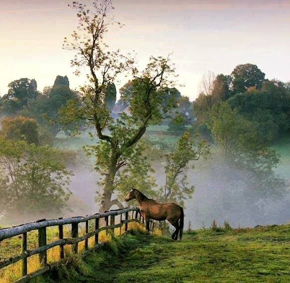 Пейзаж с лошадьми