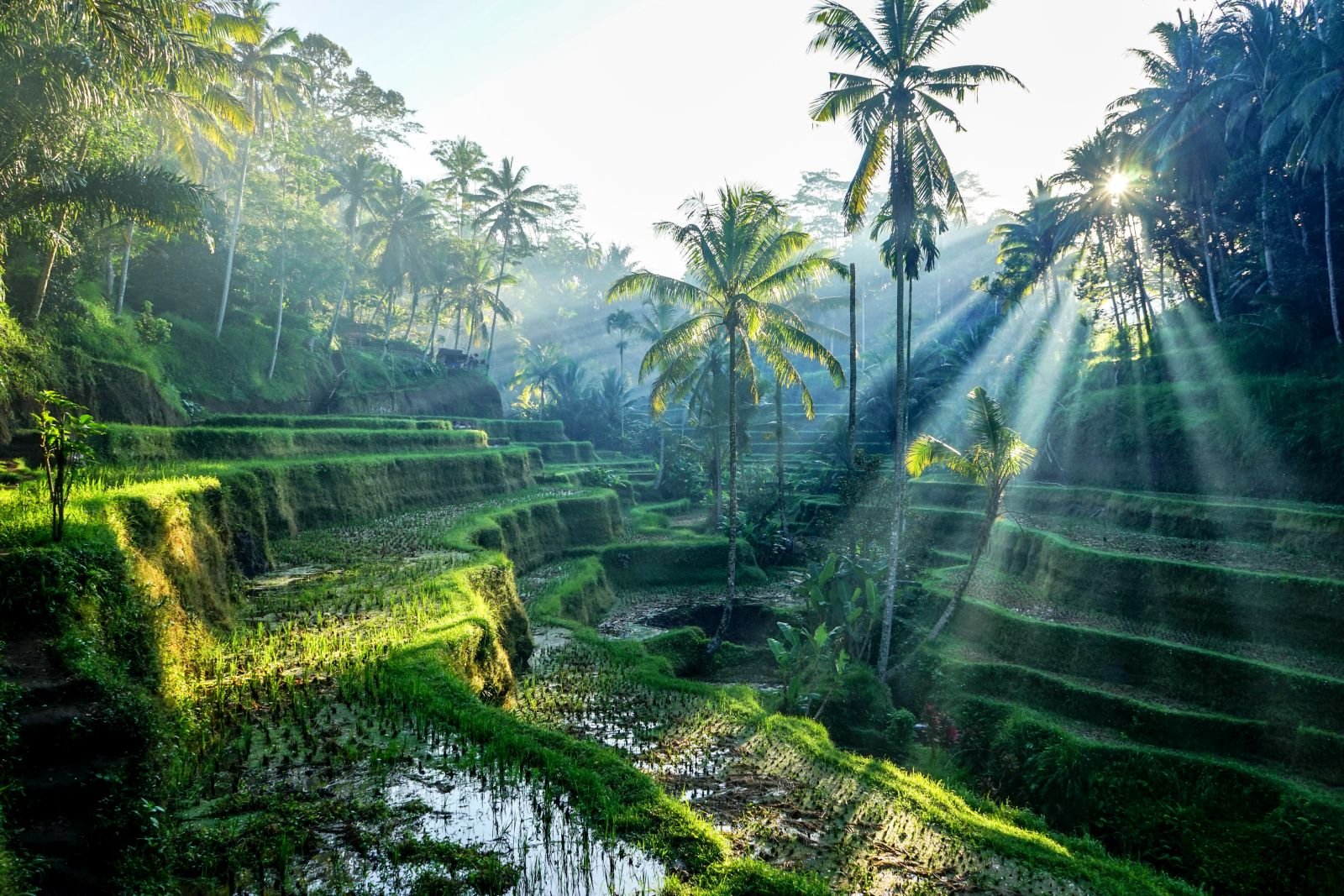 Индонезия пейзажи