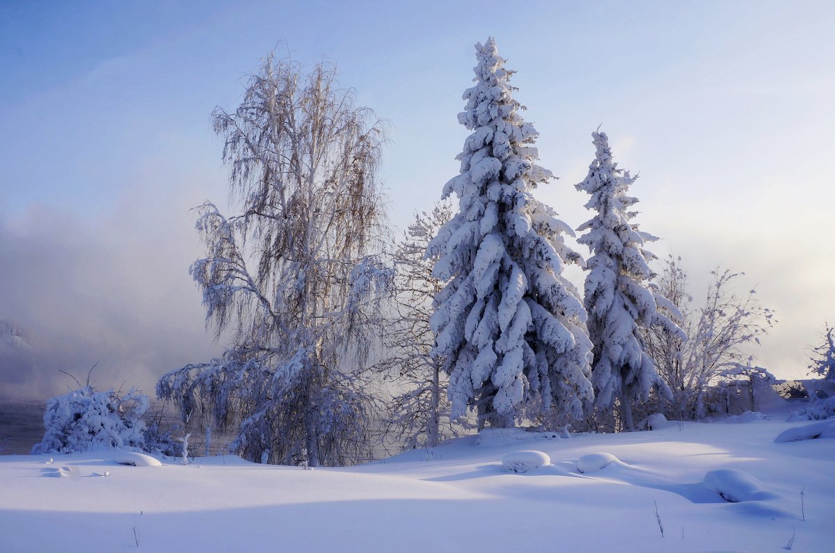 Теплые зимы в сибири. Зимняя природа Сибири. Сибирь зимой фото. Пейзажи Сибири фото. Пейзажи Сибири фото зима.