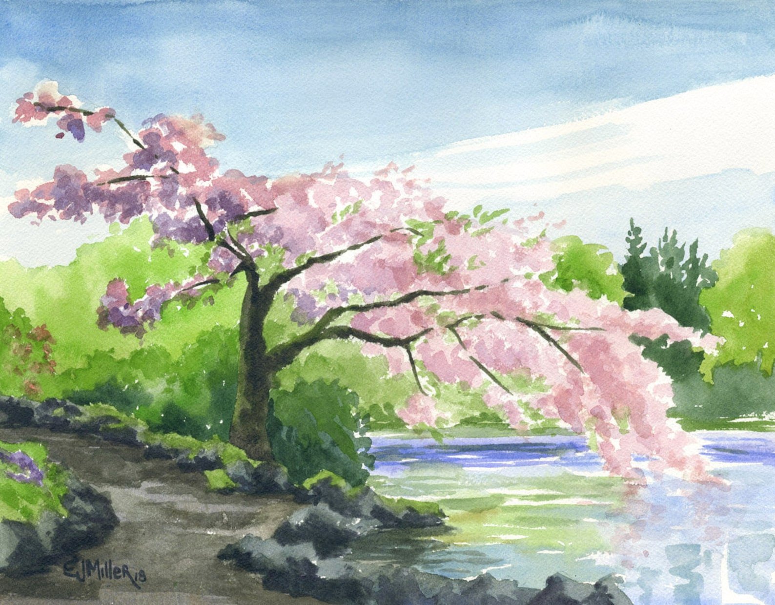 Пейзаж Сакура карандашом