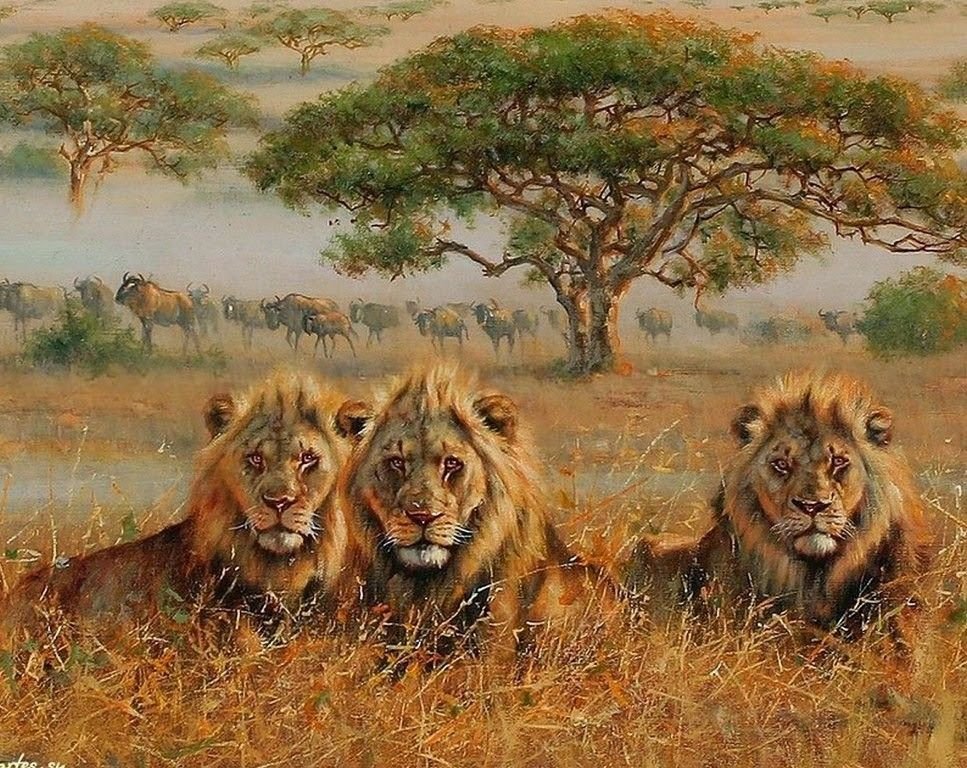 Читать 3 льва. Eric Forlee картины. Eric Forlee Лев. Eric Forlee художник тигры. Картина Прайд Львов.