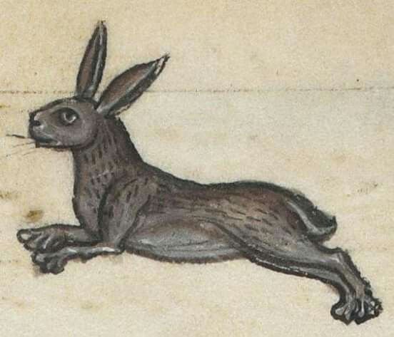 Кролики в средневековой живописи (50 фото)