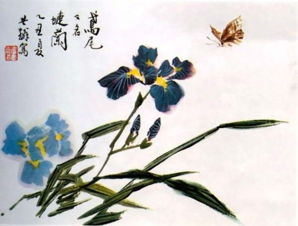 Китайская живопись гунби ирисы