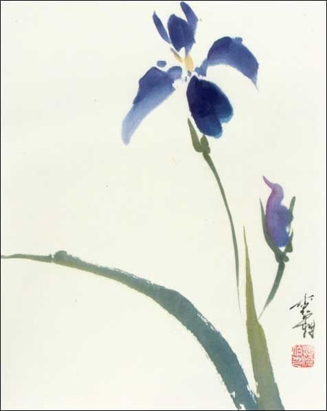 Ирис китайская живопись Сеи