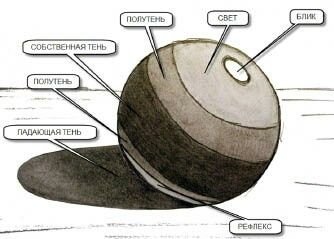 Глаза референс реализм