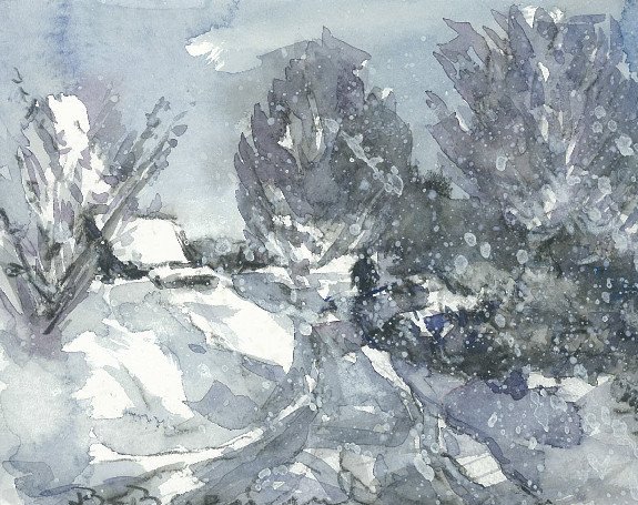 Васильев зима