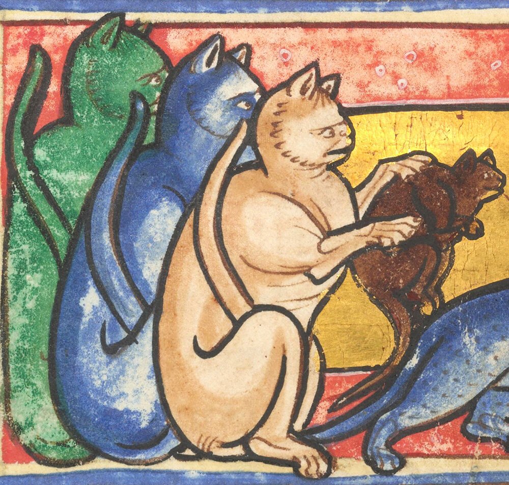 Средневековый Бестиарий Гравюры кошки