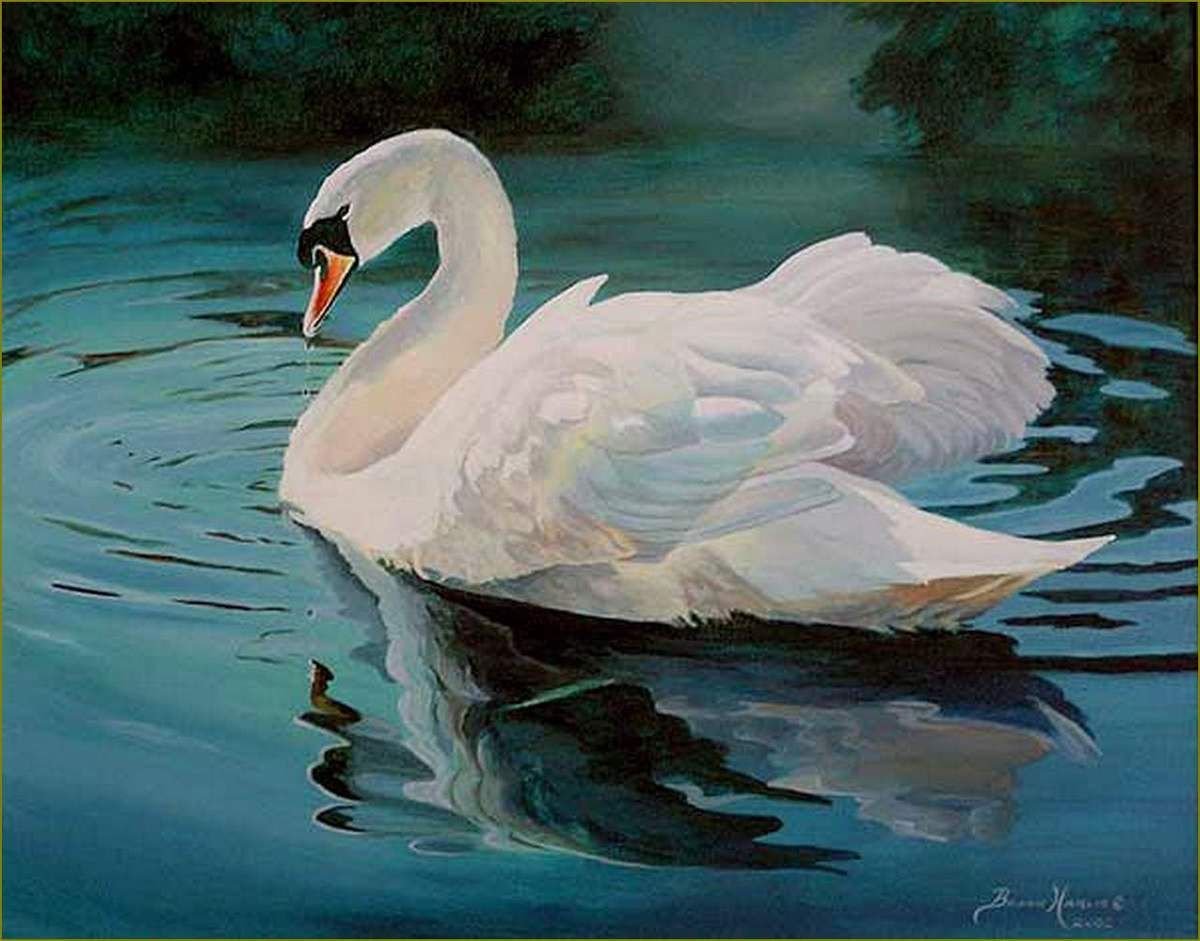 Лебеди в китайской живописи
