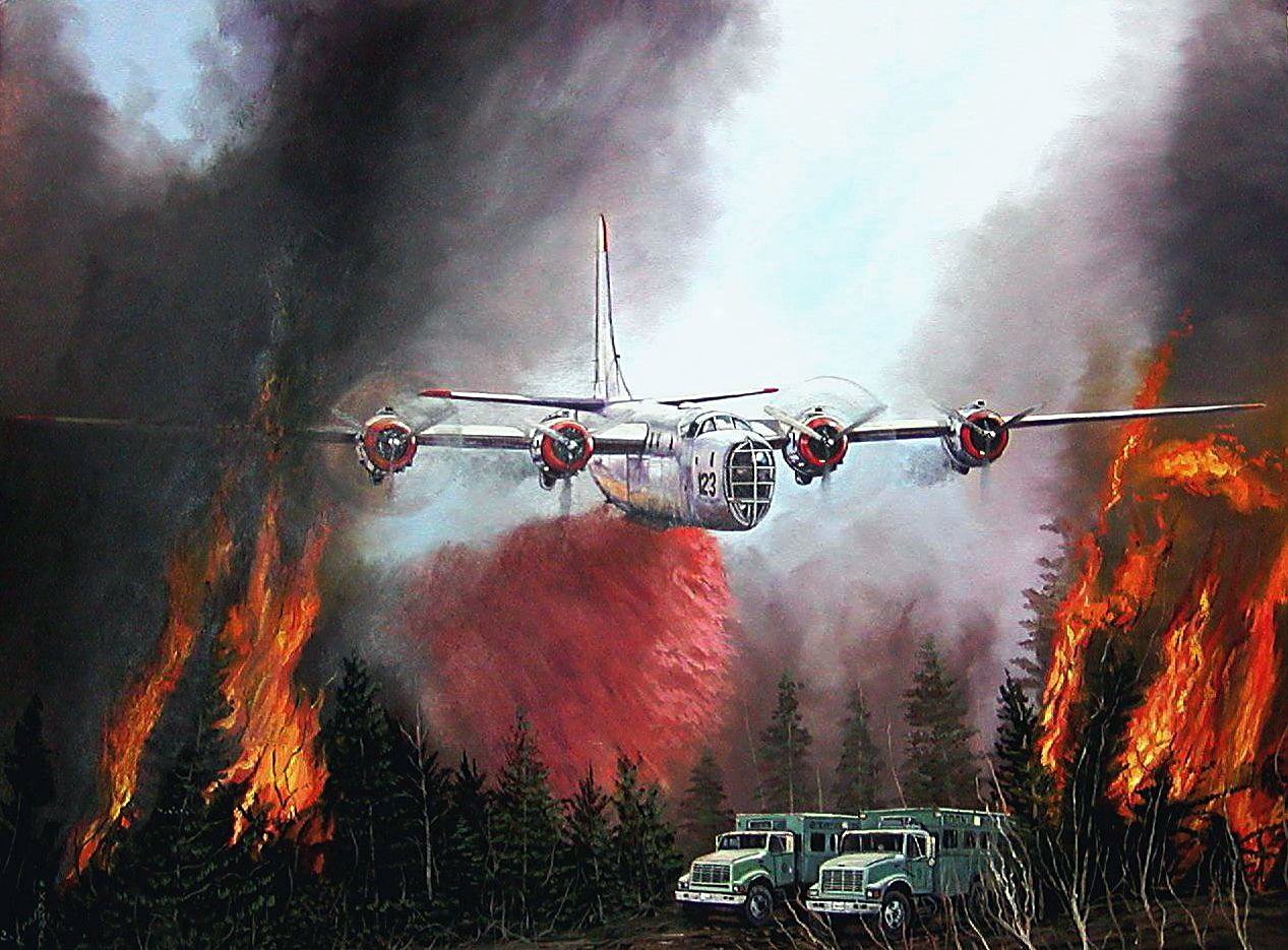 Лесной пожар картина