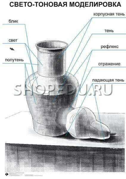 Таблица свето-тоновая моделировка
