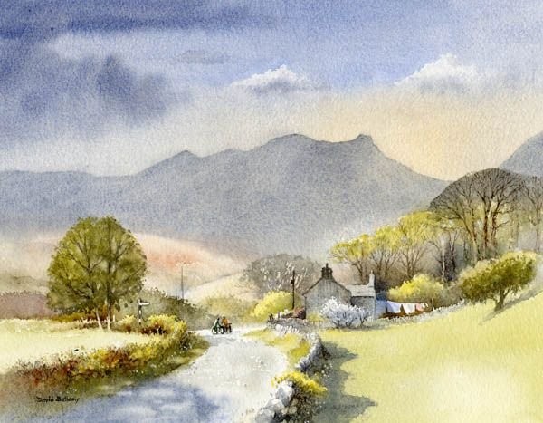 Художник акварель Macco