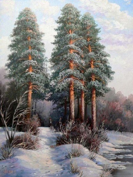 Картина еловый лес зимой Шишкин