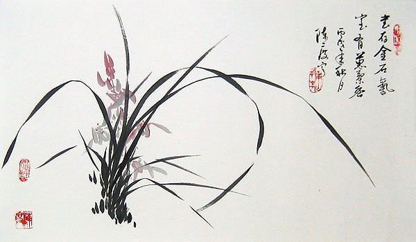 Гохуа орхидеи