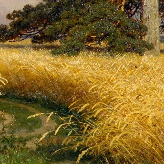 Шишкин пшеничное поле