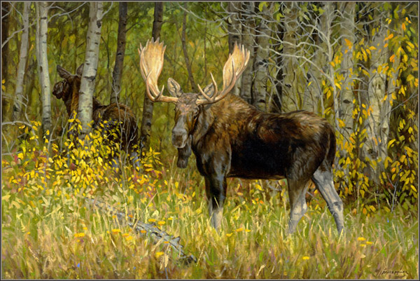 Картина лоси на опушке