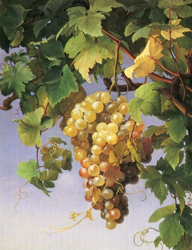 Брюллов Виноградная лоза живопись